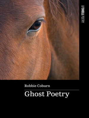 cover image of Ghost Poetry